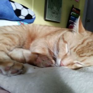 Meet your Posher, Rebekka